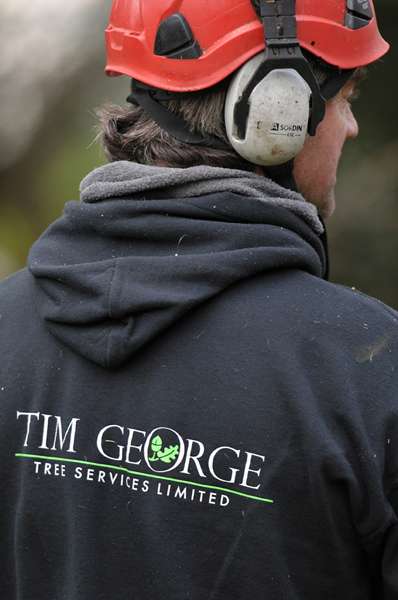 Time George Tree Services